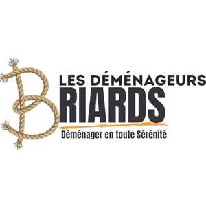 LES DEMENAGEURS BRIARDS-Virf transport, un professionnel à Paris 6ème
