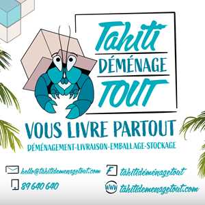 TAHITI DEMENAGE TOUT, un professionnel à Orsay